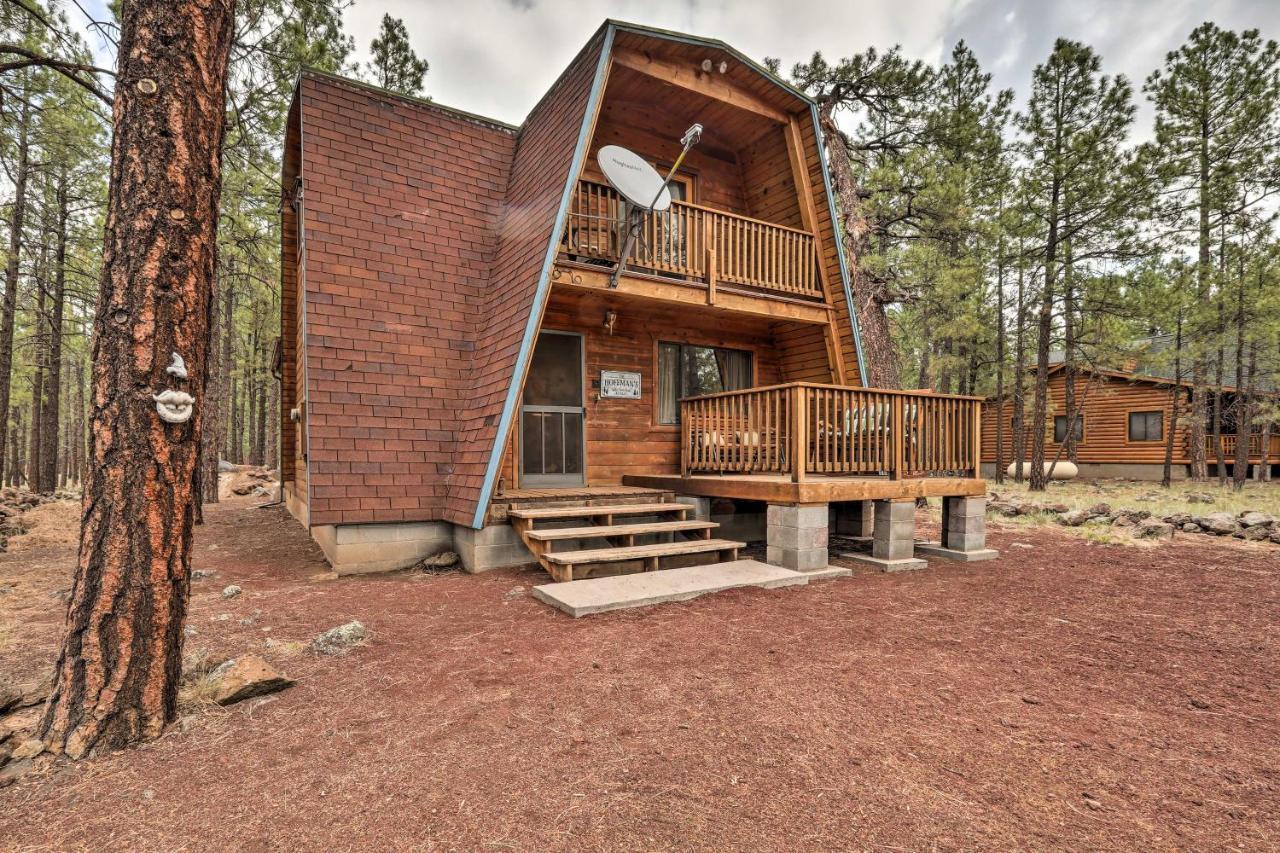 Cozy Cabin By Grand Canyon, Near National Forest 威廉斯 外观 照片