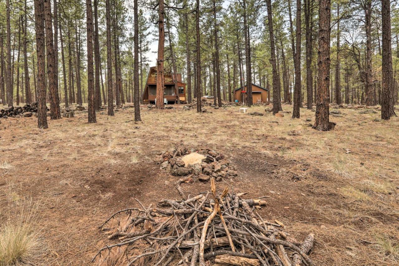 Cozy Cabin By Grand Canyon, Near National Forest 威廉斯 外观 照片